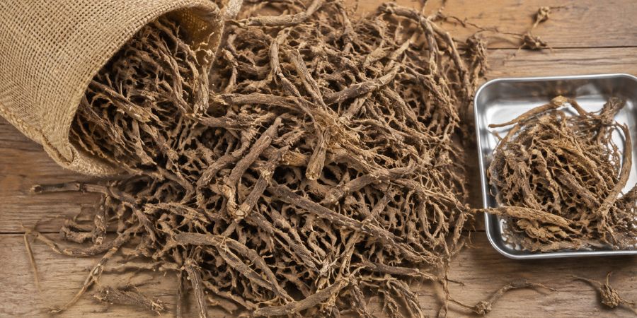 Nagarmotha roots inspected for commercial supply